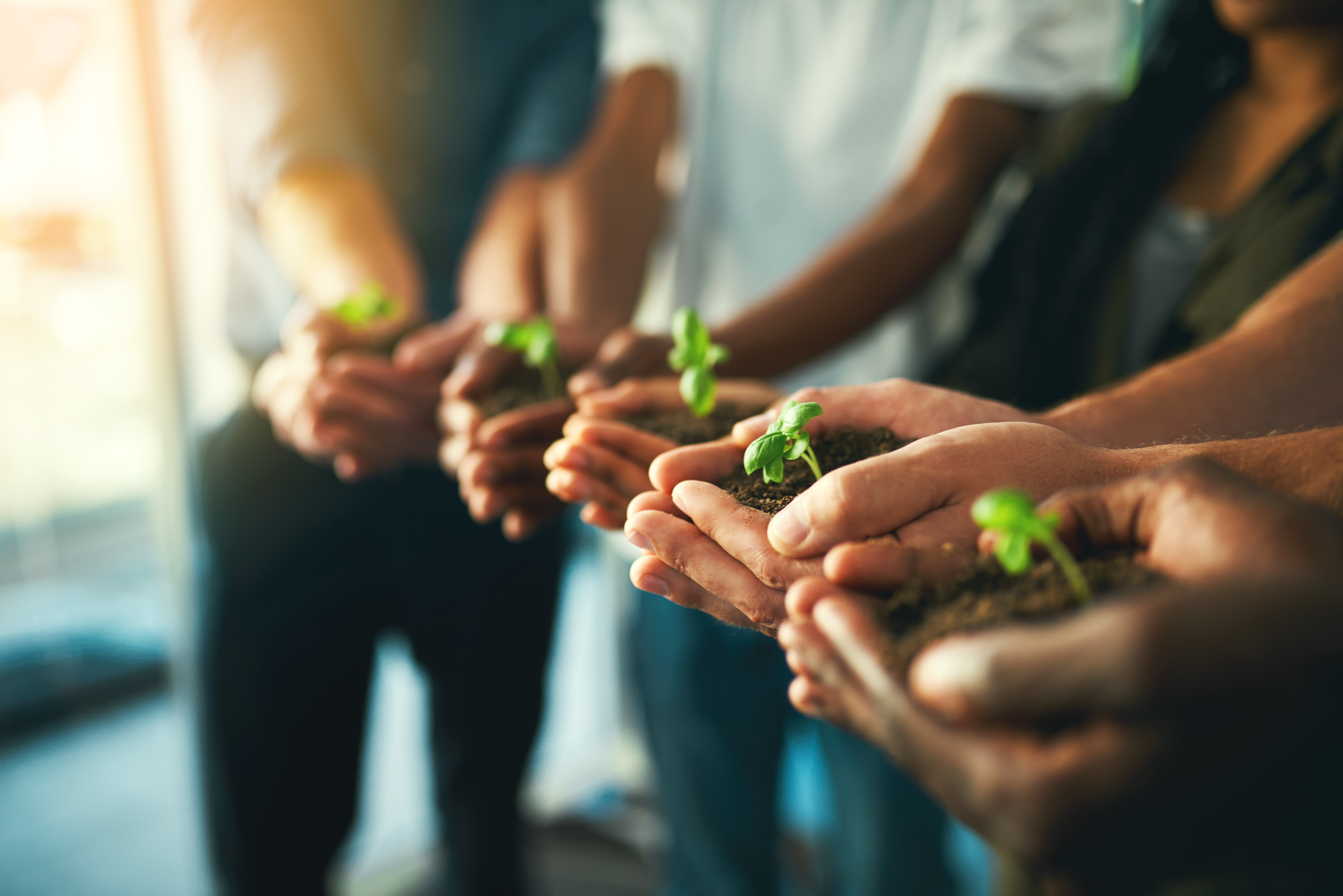 Green Technology Solutions
